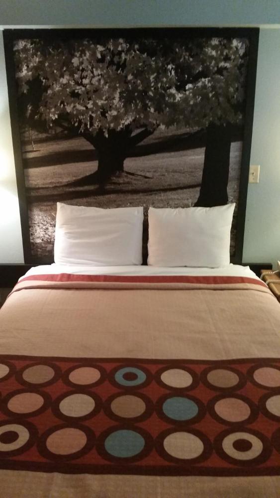 Queen Room - Disability Access/Non-Smoking interior